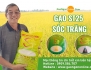 Công ty xuất khẩu gạo uy tín tại Việt Nam