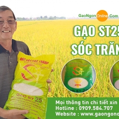 Công ty xuất khẩu gạo uy tín tại Việt Nam